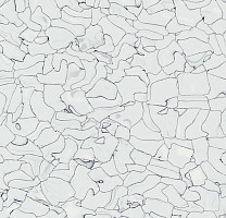 Forbo Colorex SD 150203 фото 1 | FLOORDEALER